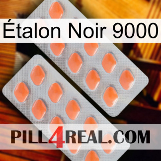 Étalon Noir 9000 27